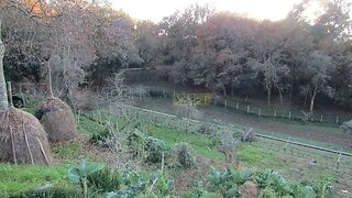 Land for sale in Caminha, Portugal — €70,000