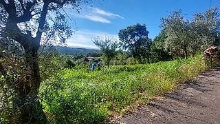Terreno de 800 m² em Águeda