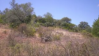 Land for sale in Loulé, Portugal — €90,000