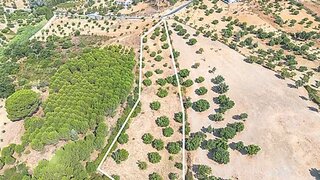 Land for sale in Torres Novas, Portugal — €40,000