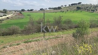 Terreno em Ferreira do Alentejo
