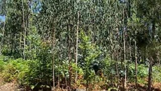 Land for sale in Santa Maria da Feira, Portugal — €38,500