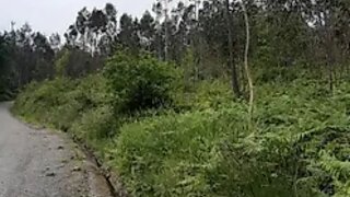 Land for sale in Sever do Vouga, Portugal — €25,000