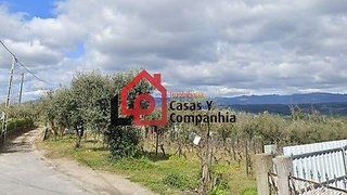 Terreno de 3391 m² em Viseu