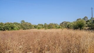 Land for sale in Ourém, Portugal — €150,000