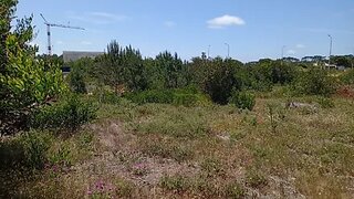 Land for sale in Alcobaça, Portugal — €65,000