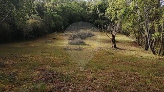 Land for sale in Pombal, Portugal — €8,500