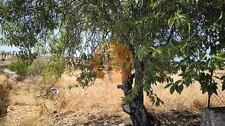 Land for sale in Alcoutim, Portugal — €84,000