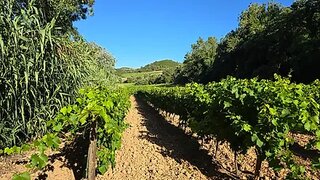 Land for sale in Torres Vedras, Portugal — €65,000