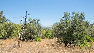 Terreno em Faro · 960 m² · 30 000 €