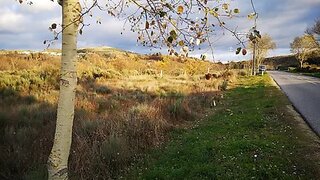 Land for sale in Sabugal, Portugal — €7,000