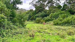 Terreno em Sintra · 11 640 m² · 800 000 €