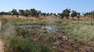 Land for sale in Santiago do Cacém, Portugal — €290,000