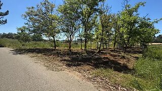 Land for sale in Anadia, Portugal — €15,000