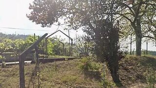 Land for sale in Resende, Portugal — €20,500