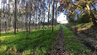 Land for sale in Alcobaça, Portugal — €87,500