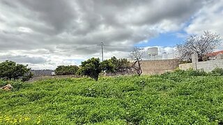 Land for sale in São Brás de Alportel, Portugal — €249,000