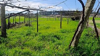 Land for sale in Barcelos, Portugal — €15,000