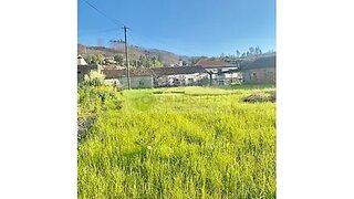 Land for sale in Sever do Vouga, Portugal — €16,500