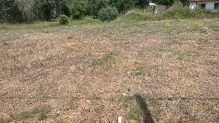 Land for sale in Rio Maior, Portugal — €35,000