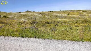 Land for sale in Castro Marim, Portugal — €37,000
