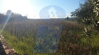 Land for sale in Anadia, Portugal — €30,000