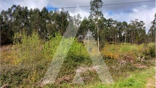 Land for sale in Oliveira de Azeméis, Portugal — €219,000