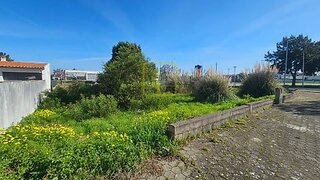 Land for sale in Ílhavo, Portugal — €60,000