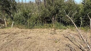 Land for sale in Albergaria-a-Velha, Portugal — €39,000