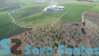 Land for sale in Freixo de Espada à Cinta, Portugal — €275,000