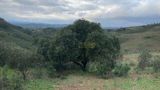 Land for sale in Silves, Portugal — €110,000