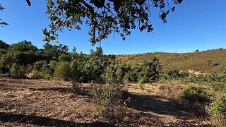 Land for sale in São Brás de Alportel, Portugal — €45,000