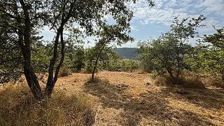 Land for sale in Pombal, Portugal — €19,900