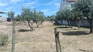 Land for sale in Chamusca, Portugal — €33,690