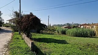 Land for sale in Pombal, Portugal — €90,000