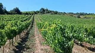 Land for sale in Alenquer, Portugal — €69,000