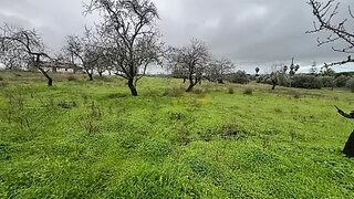Terreno de 16 970 m² em Lagoa