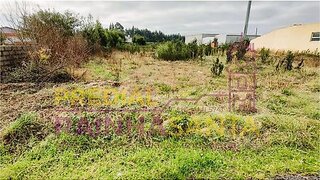 Land for sale in Vagos, Portugal — €122,000