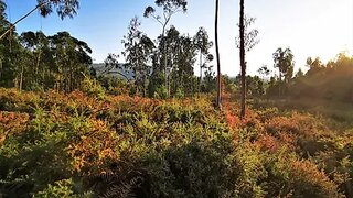 Land for sale in Caminha, Portugal — €100,000