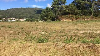 Terreno de 12 200 m² em Viana do Castelo