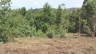 Land for sale in Melgaço, Portugal — €30,000