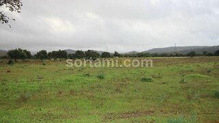 Land for sale in Albufeira, Portugal — €50,000