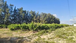 Land for sale in Palmela, Portugal — €89,000