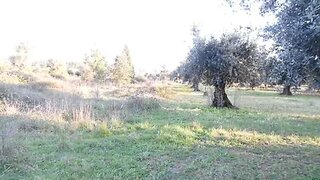 Terreno de 2000 m² em Coimbra