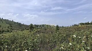 Terreno em Silves · 38 700 m² · 15 000 €