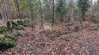 Land for sale in Santo Tirso, Portugal — €299,000