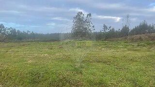 Land for sale in Oliveira de Azeméis, Portugal — €50,000