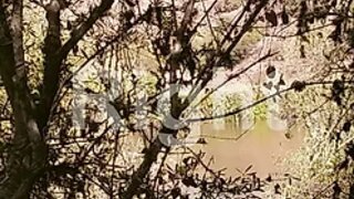 Land for sale in Alcoutim, Portugal — €45,000