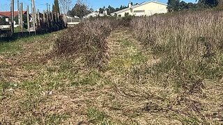 Terreno de 38 080 m² em Leiria