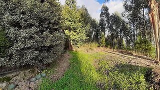 Land for sale in Tondela, Portugal — €26,000